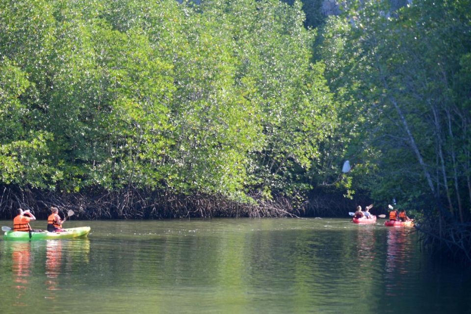 Ko Lanta: Mangrove Forest Sightseeing Tour by Long-tail Boat - Common questions