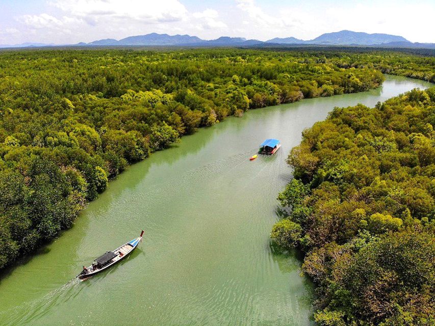 Ko Lanta: Mangrove Tour By Long Tail Boat - Customer Reviews