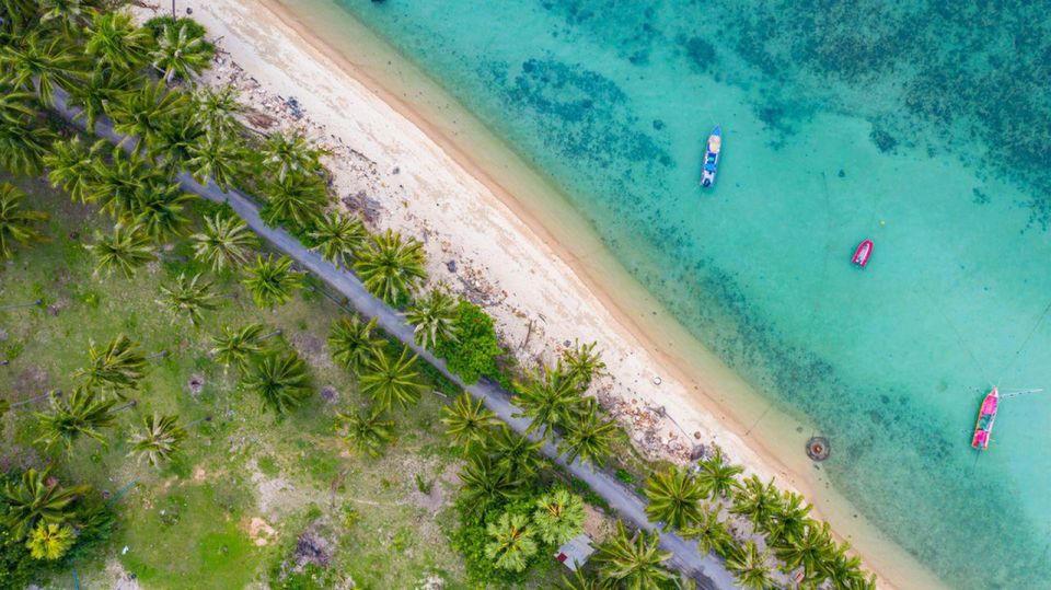 Koh Madsum ( Pig Island ) & Koh Tan by Longtail Boat - Activity Highlights on Pig Island & Koh Tan