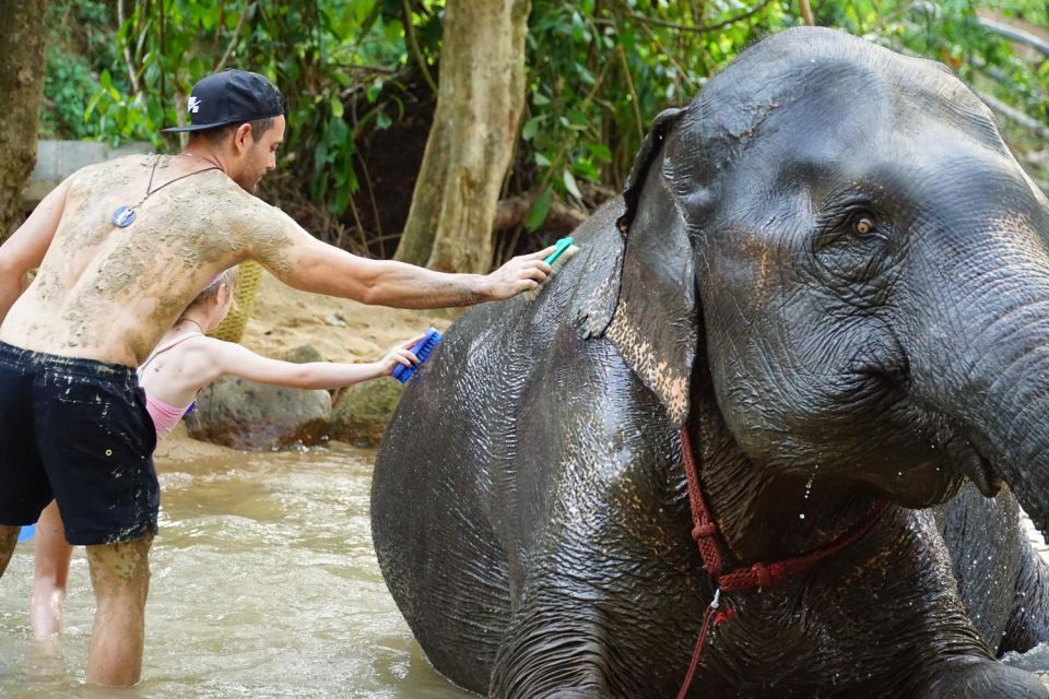 Koh Samui: Half-Day Ethical Elephant Sanctuary With Mud Spa - Location & Booking
