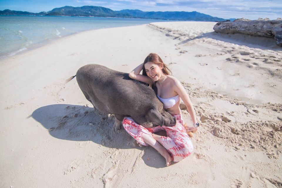 Koh Samui: Pig Island Tour by Speedboat With Snorkeling - Customer Reviews