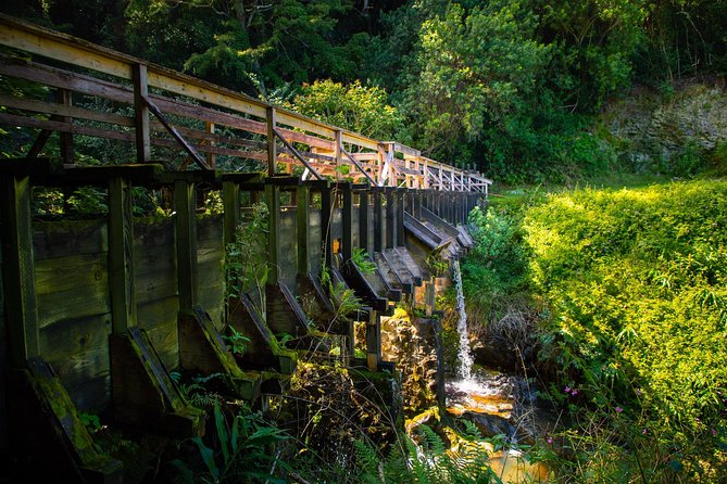 Kohala Waterfalls Small Group Adventure Tour - Guide and Adventure Experience