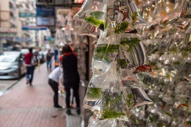 Kowloon Walking Tour on the Dark Side of Hong Kong - Last Words