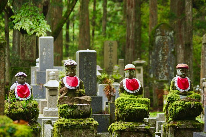 Koyasan Full-Day Private Tour - Reviews and Pricing