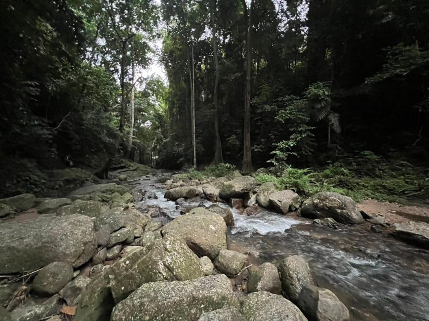 Krabi: Elephant Bathing and Huay Tho Waterfall Day Trip - Customer Reviews