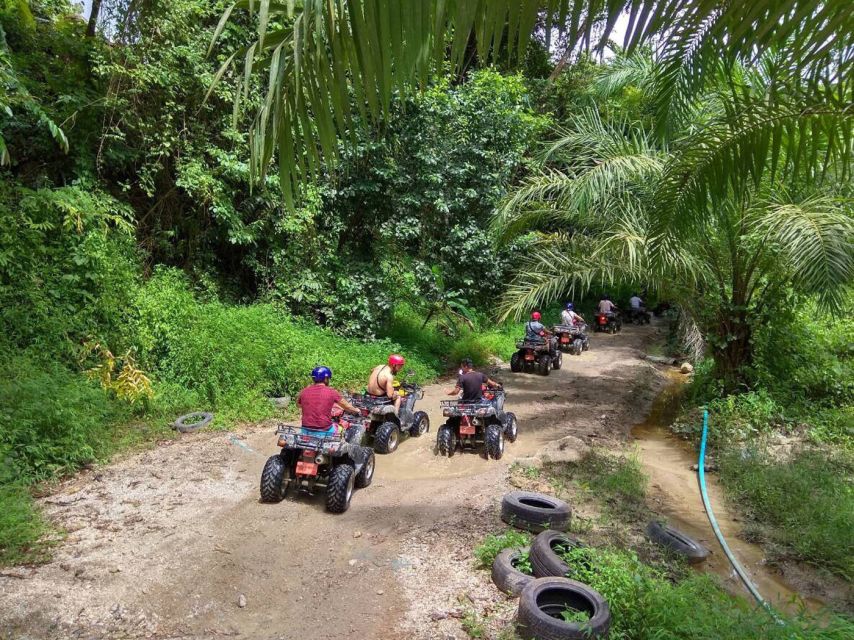 Krabi: Elephant Bathing & ATV Adventure Combo - Reservation Details