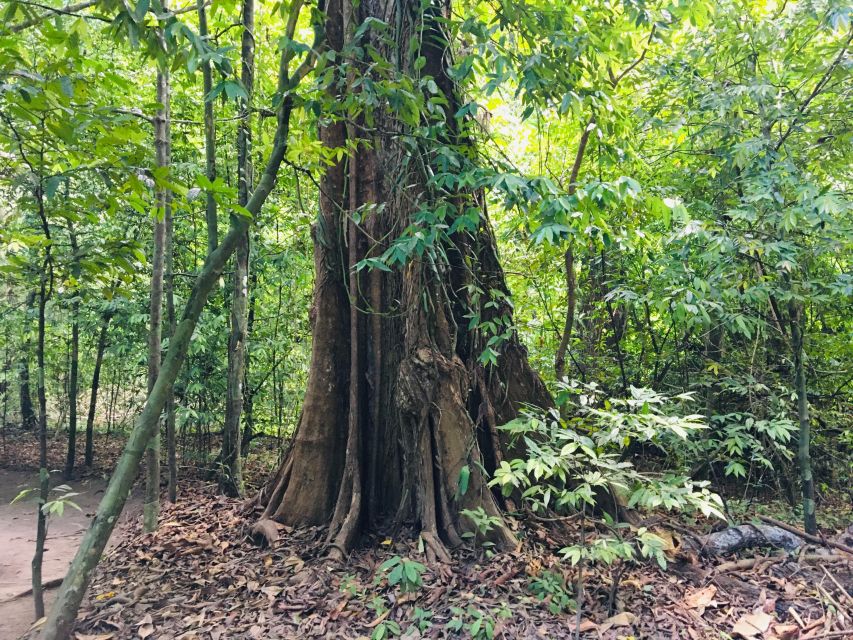 Krabi: Emerald Pool and Hot Springs Waterfall Half-Day Trip - Tour Description