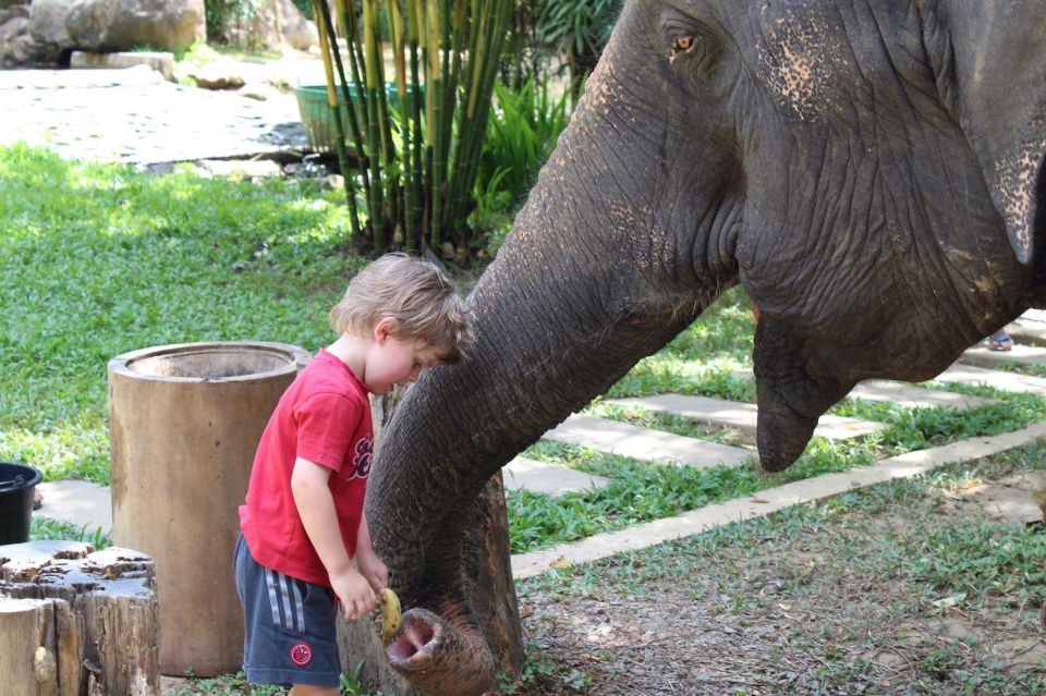 Krabi: Ethical Elephant Sanctuary Experience - Inclusions