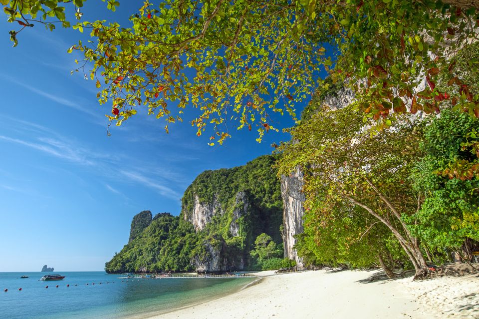 Krabi: Hong Islands Snorkeling With Lunch by Longtail Boat - Customer Testimonials