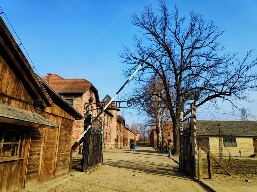 Krakow: Auschwitz-Birkenau & Wieliczka Salt Mine With Lunch - Tour Highlights