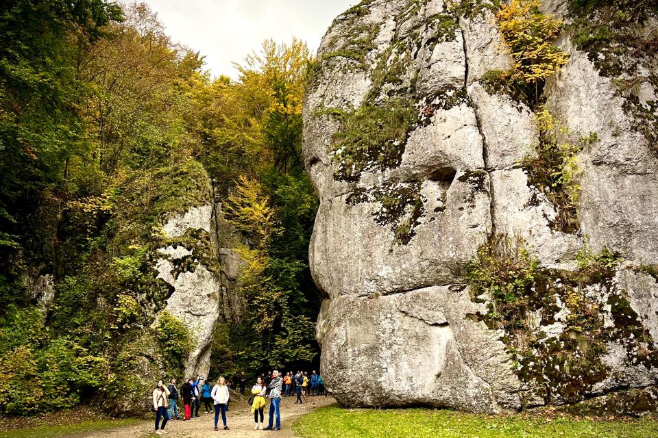 Krakow: Ojców National Park & Ogrodzieniec Private Tour - Testimonials