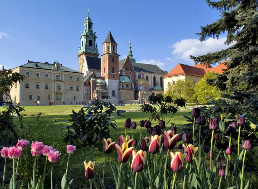 Krakow: Old Town Walking Tour With Visit to Wawel Castle - Reservation and Payment Options