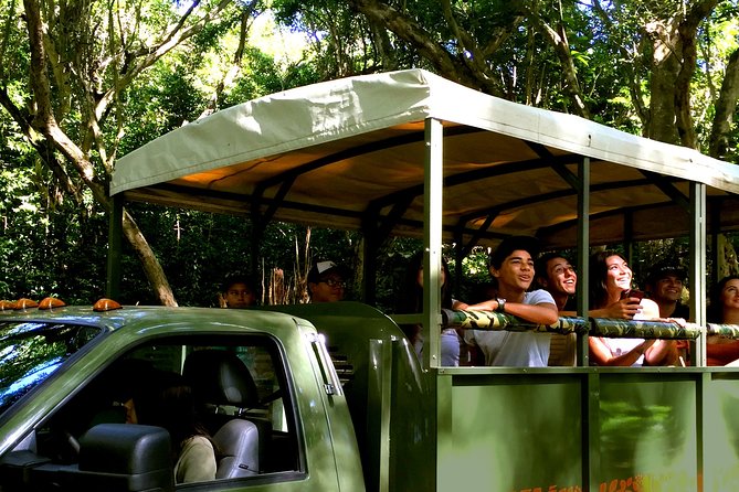 Kualoa Ranch Off-Road Jungle, Garden, Film Location Tour (Mar ) - Booking Details