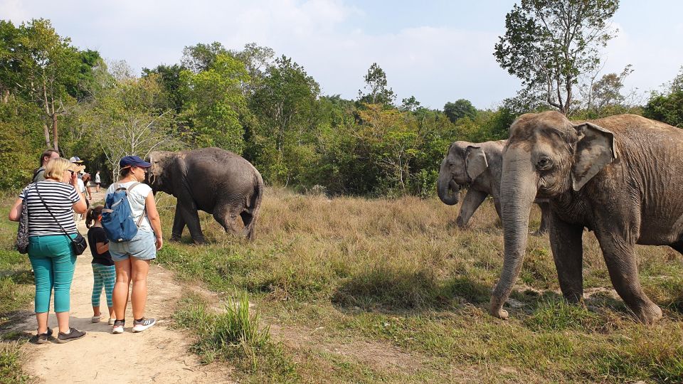 Kulen Elephant Forest & 1000 Lingas River Bed - Inclusions