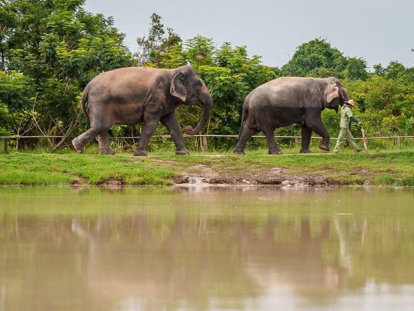 Kulen Elephant Forest Tour With Hotel Pick-Up & Drop off - Transportation & Pickup Instructions