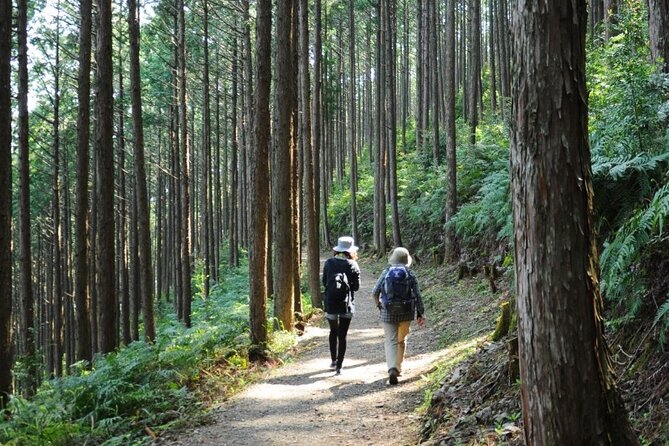 Kumano Kodo Pilgrimage Tour With Licensed Guide & Vehicle - Traveler Experience and Photos