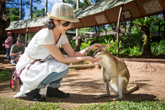 Kuranda By Train, Boat & Skyrail  - Cairns & the Tropical North - Additional Information