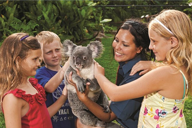 Kuranda Koala Gardens General Entry Ticket - Additional Information