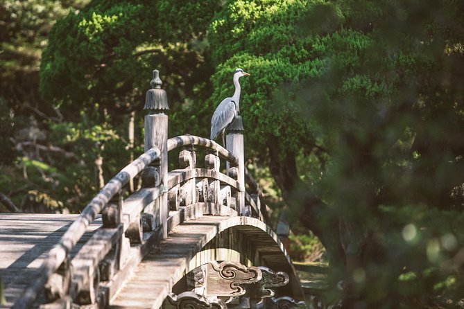 Kyoto and Nara 1 Day Trip - Golden Pavilion and Todai-Ji Temple From Kyoto - Criticisms and Recommendations