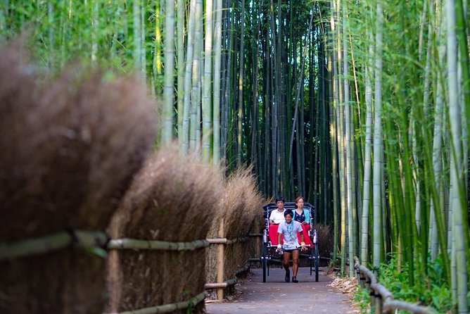 Kyoto Arashiyama Rickshaw Tour With Bamboo Forest - Additional Information and Reviews