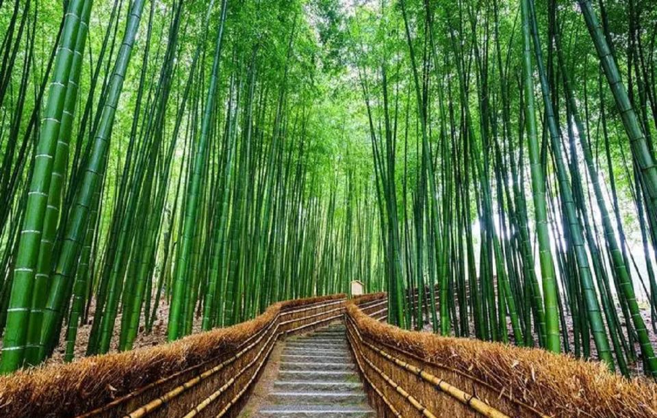 Kyoto Full Day Tour: Visiti Kyoto Sanzen-In and Arashiyama - Tour Highlights
