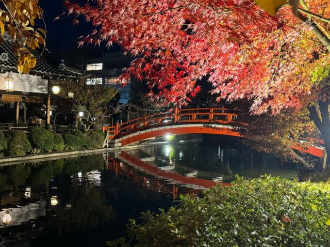 Kyoto: Fully Customizable Half Day Tour in the Old Capital - Important Tour Information