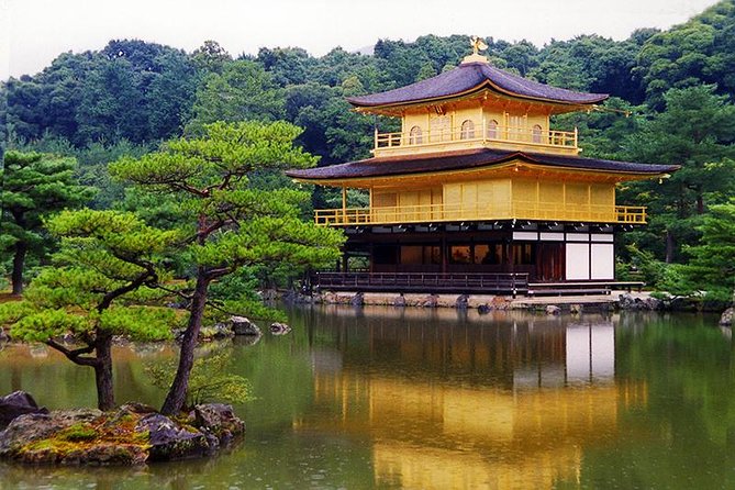 Kyoto Top Highlights Full-Day Trip From Osaka/Kyoto - Tour Experience and Participant Feedback