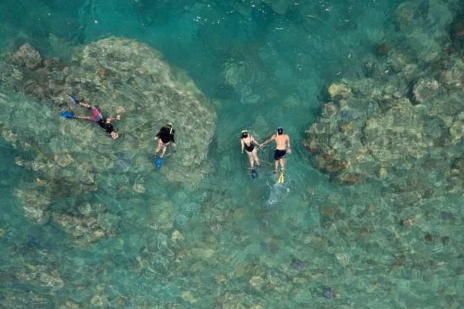 Lady Enid Sailing to Langford Island & Snorkelling - Adults Only - Customer Reviews