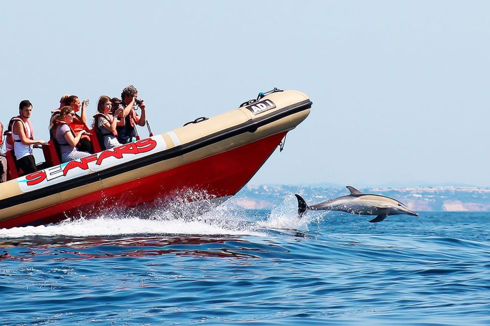 Lagos: Dolphin Watching With Professional Marine Biologists - Review Ratings and Customer Feedback