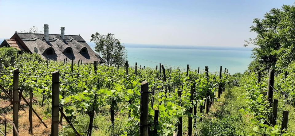 Lake Balaton Full-Day Tour From Budapest - Visit Veszprém and Herend Porcelain Manufactury