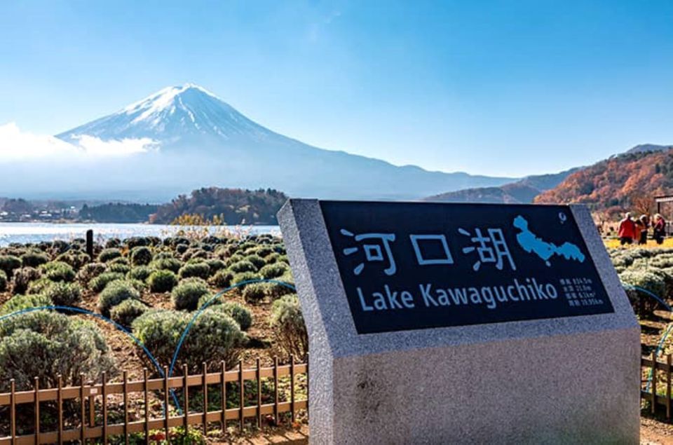 Lake Kawaguchi From Tokyo Bus Ticket Oneway/Roundway - Participant Selection and Date