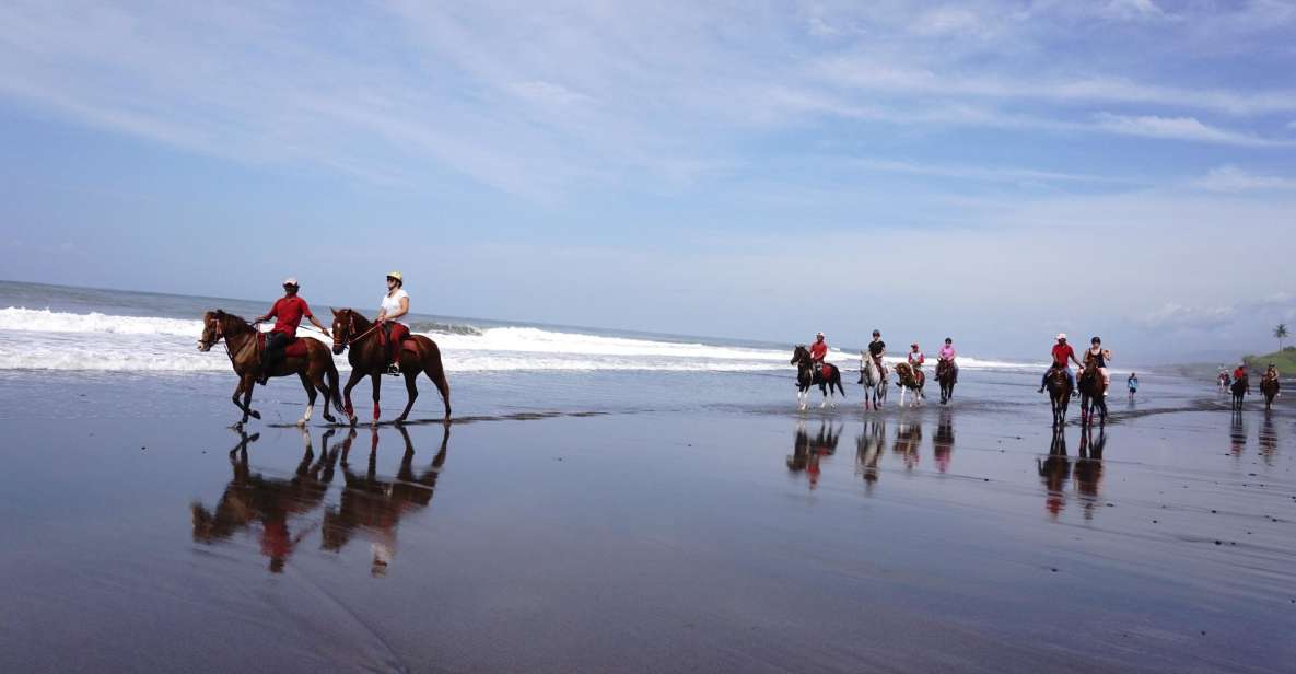 Langudu: Horse Riding on the Beach and in the Rice Fields - Payment and Reservation
