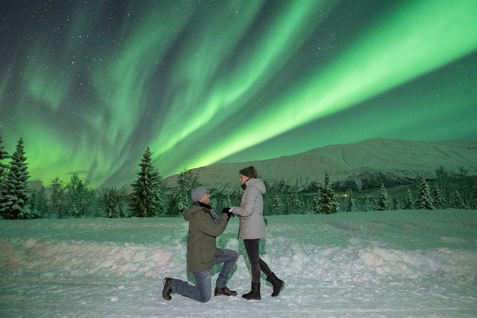 Lapland Northern Lights Tour From Tromso - How to Book