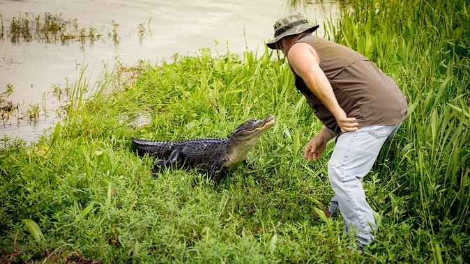 Large Airboat Ride With Transportation From New Orleans - Overall Experience and Satisfaction