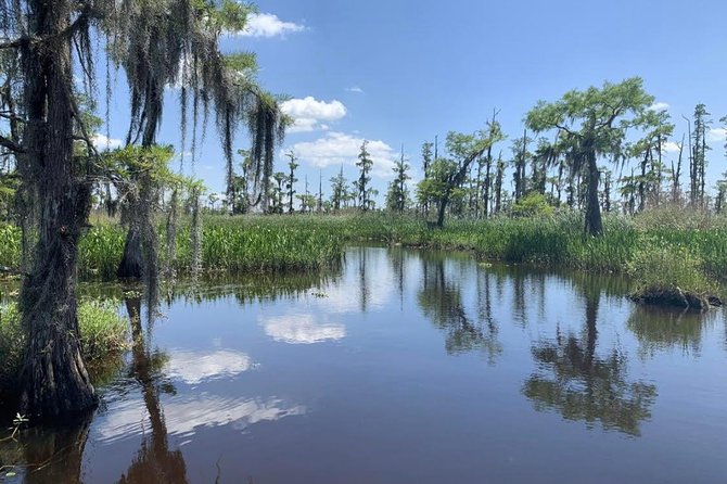 Large Airboat Swamp Tour With Transportation From New Orleans - Customer Feedback