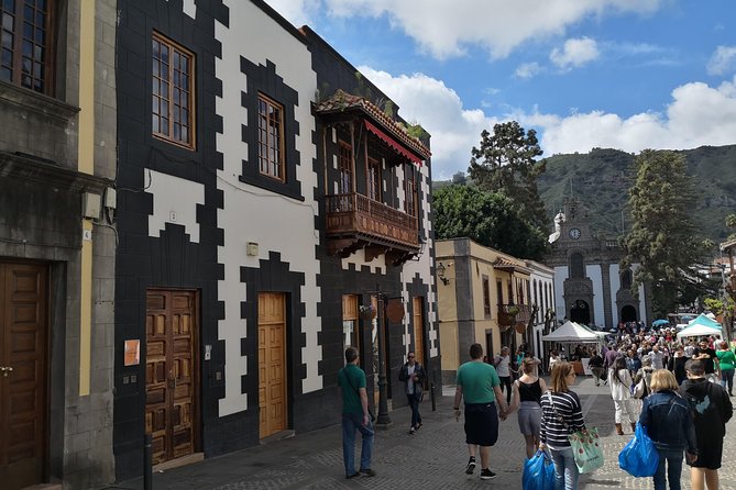Las Palmas Shore Excursion: Private Volcanic Caldera, Teror Village and Wine-Tasting Tour - Customer Experience and Options