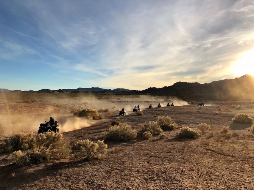 Las Vegas: Mojave Desert ATV Tour With Pick-Up - Customer Testimonials