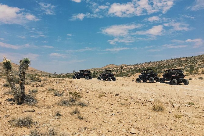 Las Vegas Off Road Mojave Desert Tour - Tour Experience Highlights