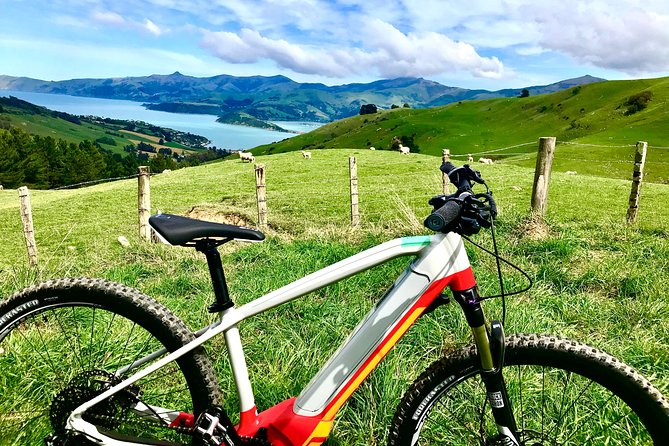 Lava Loop- Guided Electric Mountain Bike Tour in Akaroa - Pricing and Booking Information