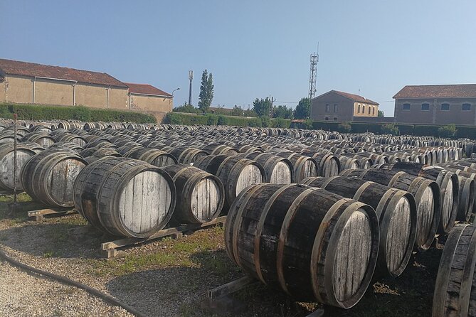 Les Baux De Provence: Wine Day Tour: 8 Hours - Common questions