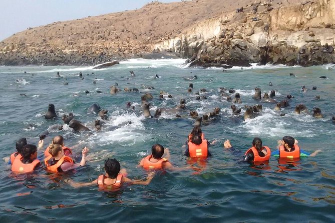 Lima: Palomino Islands Excursion & Swimming With Sea Lions With Hotel Transfers - Traveler Reviews