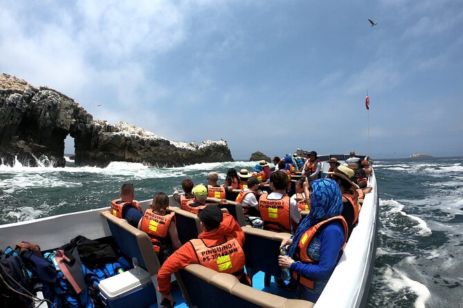 Lima Peru Sea Lions, History and Palomino Callao Islands - Snorkeling Experience Details
