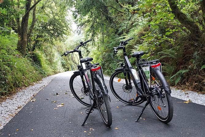 Limerick and Kingdom of Kerry Greenways Bike Rental - Common questions