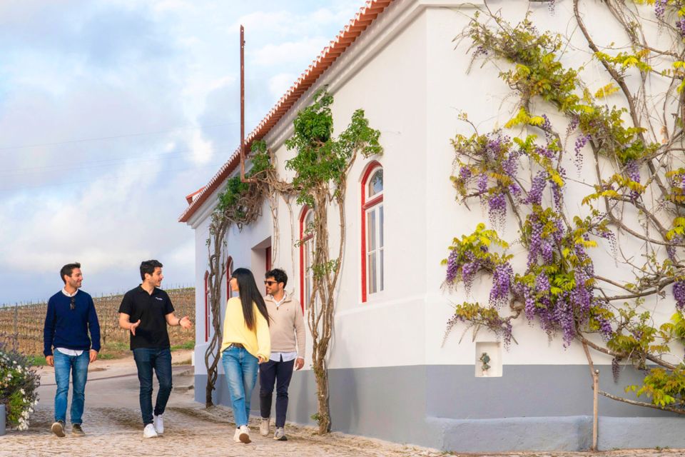 Lisbon: Winery Experience With 4WD Tour and Wine Tasting - Booking Information