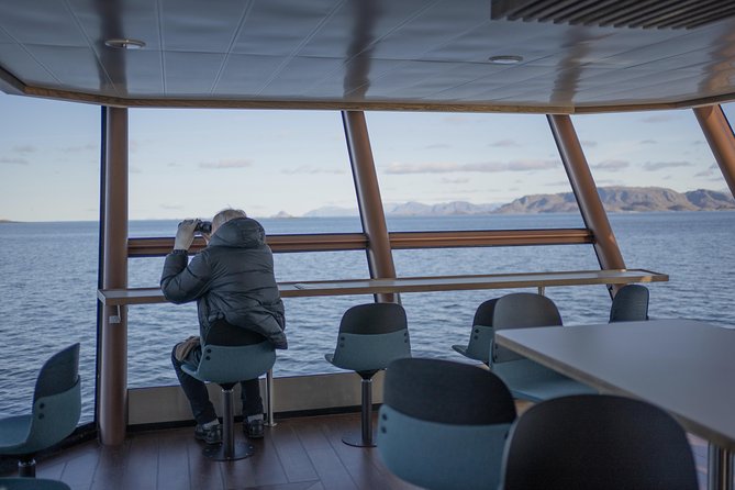 Lofoten Island: Silent Trollfjord Cruise From Svolvær - Booking Information Essentials