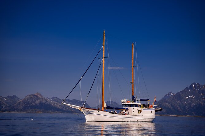 Lofoten Islands Luxury Trollfjord Cruise With Lunch From Svolvær - Cancellation Policy and Refunds