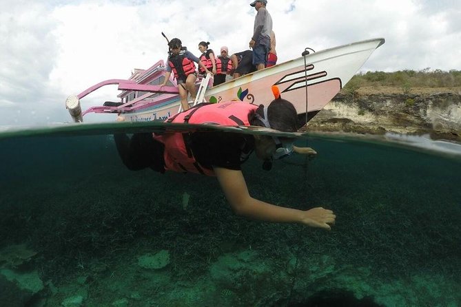 Lombok Pink Beach Boat Trip (Full Day Snorkeling) - Pricing Details