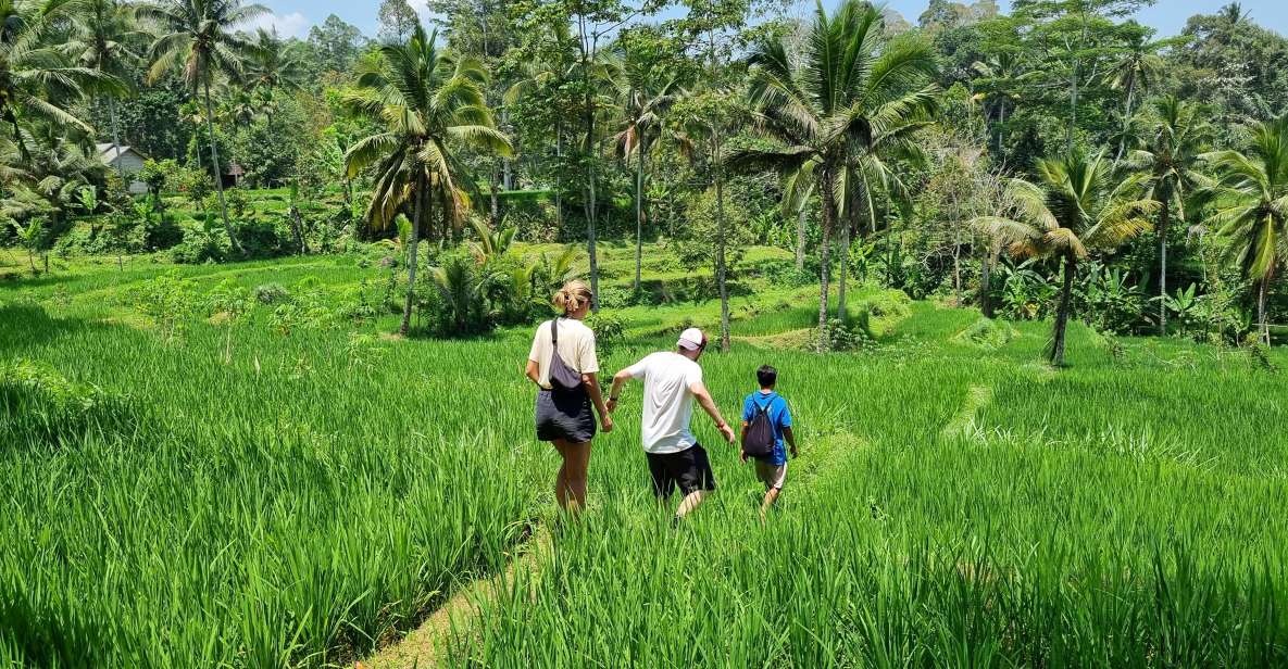 Lombok Rice Terrace Walking Tour & Benang Kelambu Waterfall - Review Insights