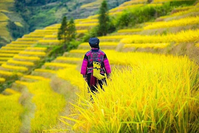 Longji Rice Terraces & Minority Villages Private Day Tour - Common questions