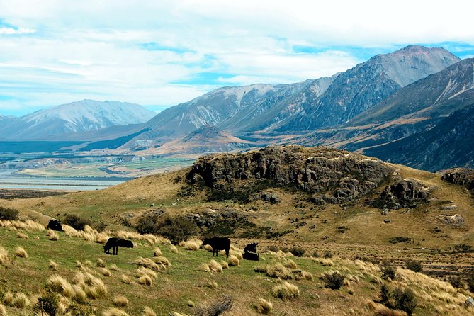 Lord of the Rings High Country Station Pioneering Experience & Scenic Day Tour - Pickup and Drop-off Details